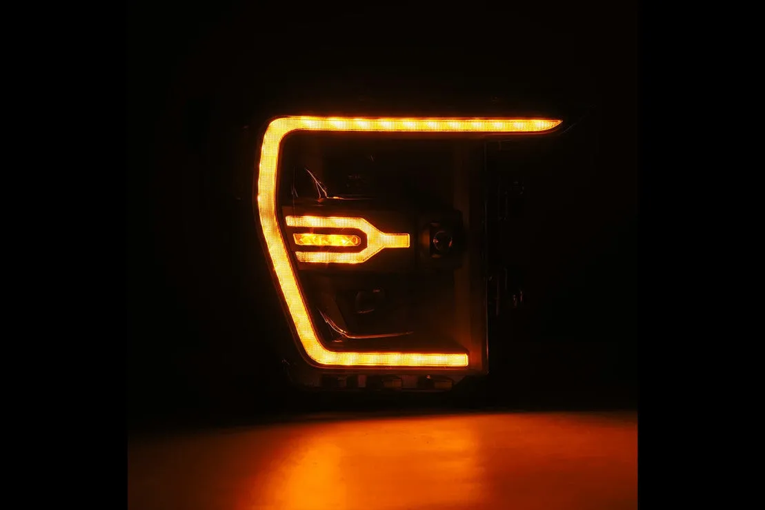 Ford F150 (2021 ) Pro Halogen Headlights