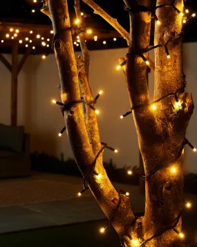 LINK PRO LED String Lights, Black Cable, Warm White