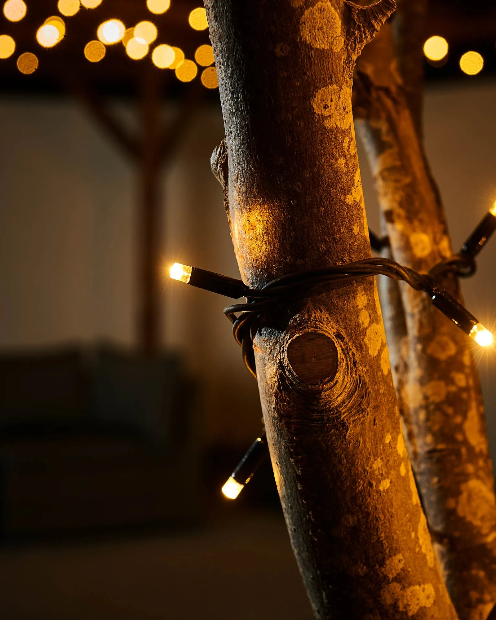 LINK PRO LED String Lights, Black Cable, Warm White