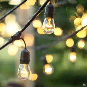 Vintage String Lights